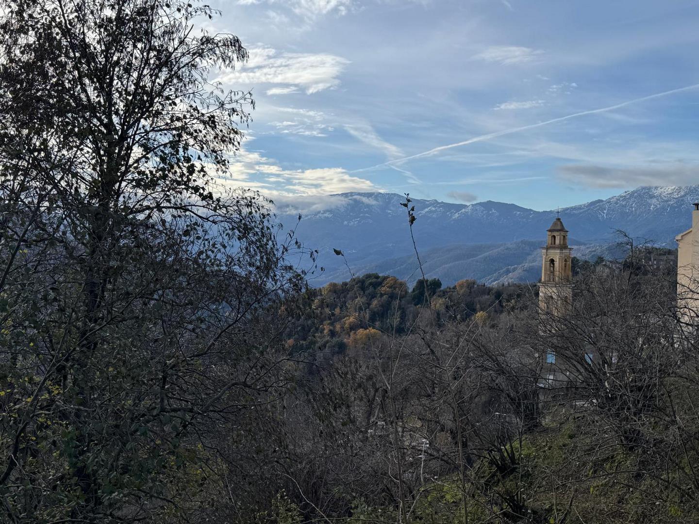 APPARTEMENT AVEC JARDIN