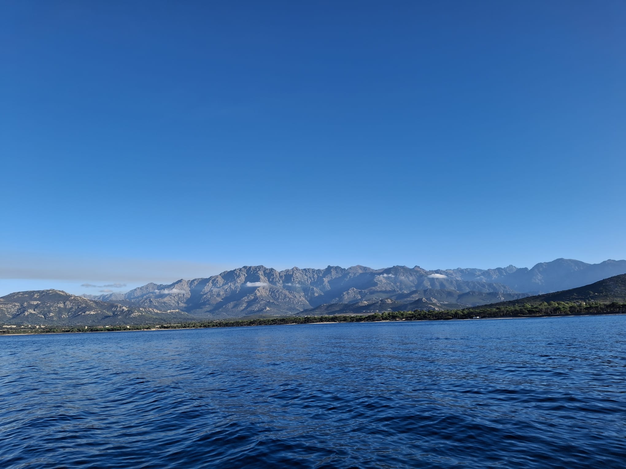 Pourquoi investir dans l’immobilier à Calvi en 2026