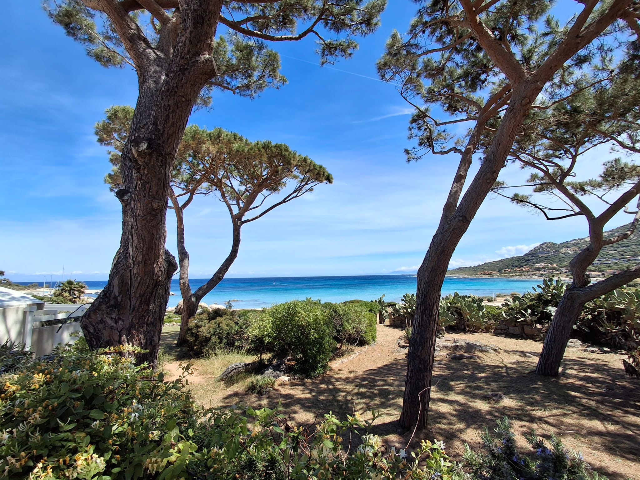Immobilier à San Ambroggio : votre projet en Balagne avec vue sur mer