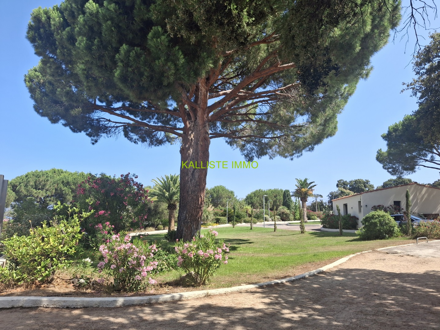 APPARTEMENT AVEC PISCINE & TENNIS A LUMIO